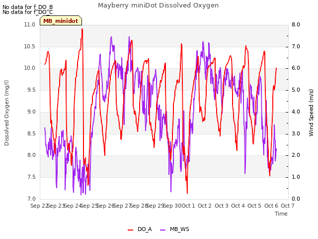 plot of Mayberry miniDot Dissolved Oxygen