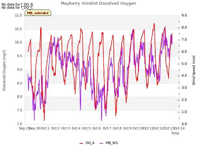 plot of Mayberry miniDot Dissolved Oxygen