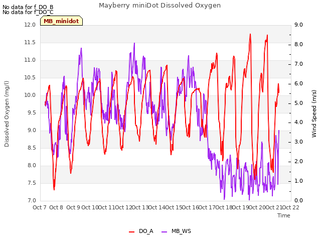 plot of Mayberry miniDot Dissolved Oxygen