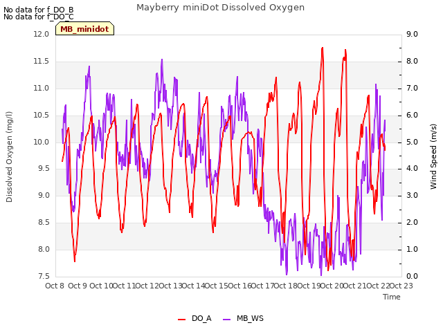 plot of Mayberry miniDot Dissolved Oxygen