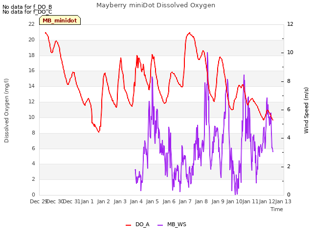 plot of Mayberry miniDot Dissolved Oxygen