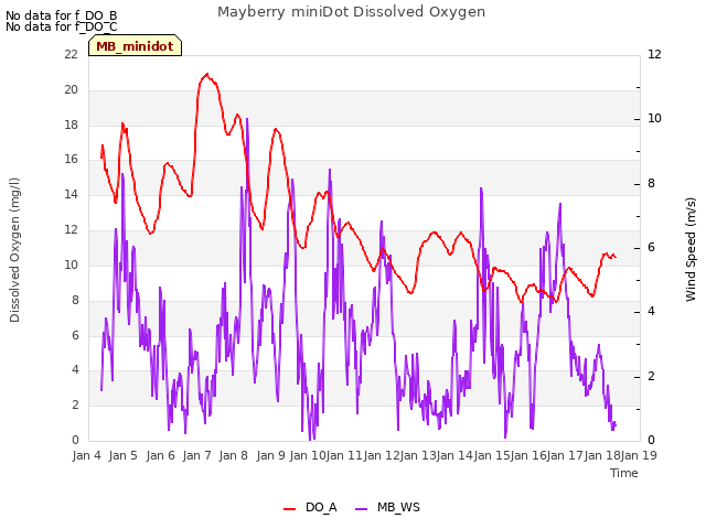 plot of Mayberry miniDot Dissolved Oxygen