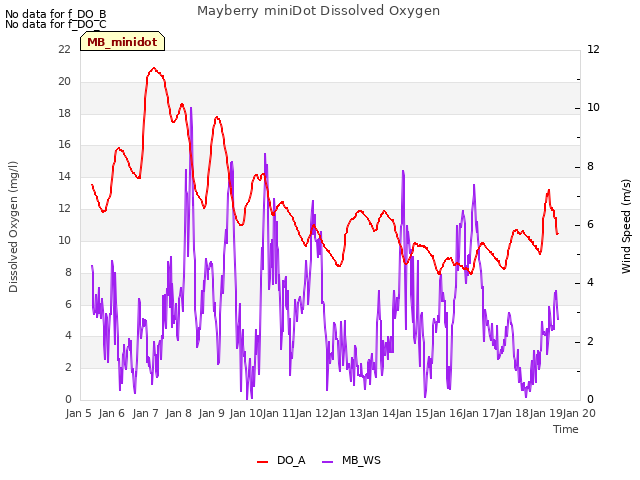 plot of Mayberry miniDot Dissolved Oxygen