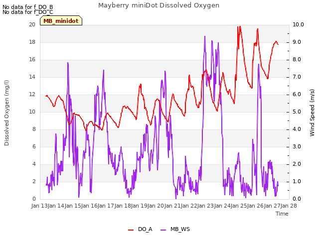 plot of Mayberry miniDot Dissolved Oxygen
