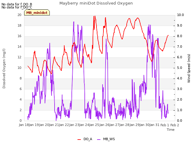 plot of Mayberry miniDot Dissolved Oxygen