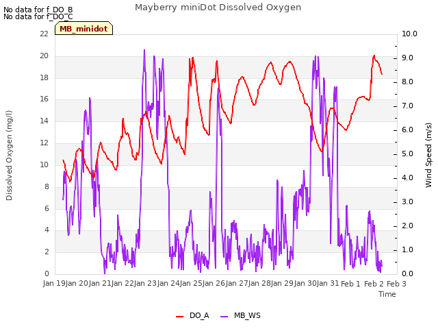 plot of Mayberry miniDot Dissolved Oxygen