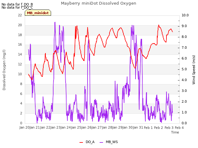 plot of Mayberry miniDot Dissolved Oxygen