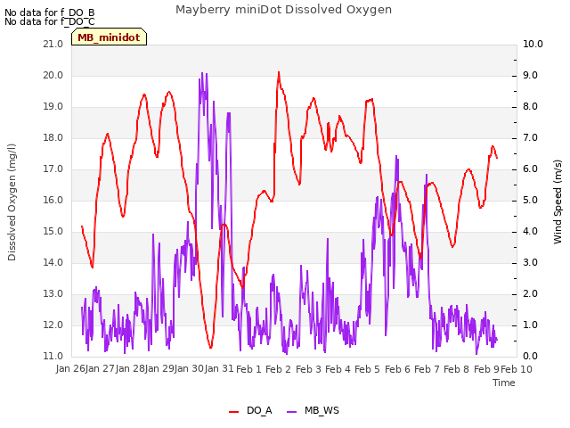 plot of Mayberry miniDot Dissolved Oxygen