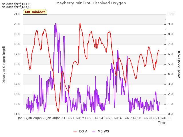 plot of Mayberry miniDot Dissolved Oxygen