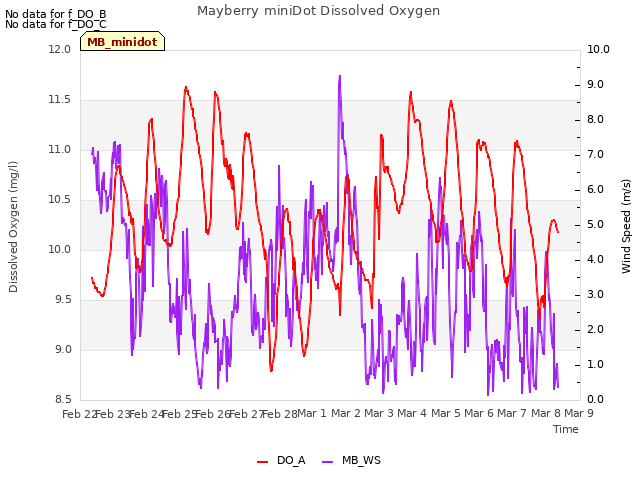 plot of Mayberry miniDot Dissolved Oxygen