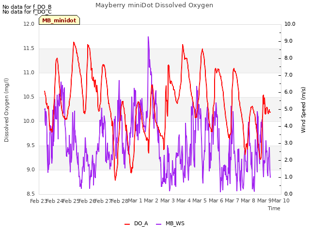 plot of Mayberry miniDot Dissolved Oxygen