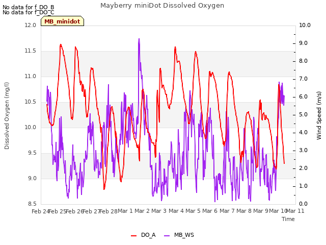 plot of Mayberry miniDot Dissolved Oxygen