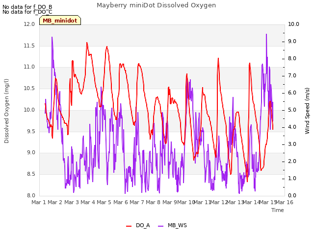 plot of Mayberry miniDot Dissolved Oxygen