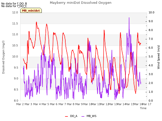 plot of Mayberry miniDot Dissolved Oxygen