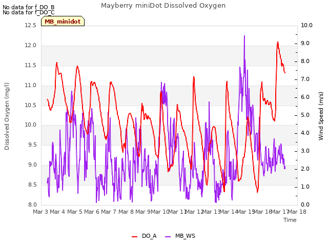 plot of Mayberry miniDot Dissolved Oxygen