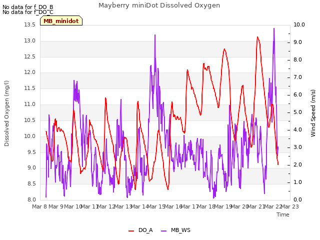 plot of Mayberry miniDot Dissolved Oxygen