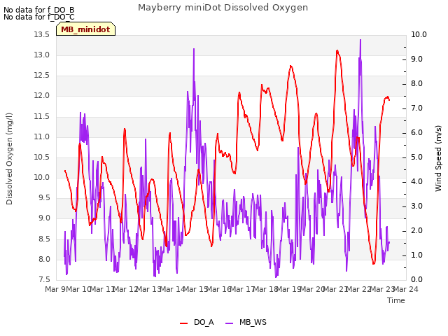 plot of Mayberry miniDot Dissolved Oxygen