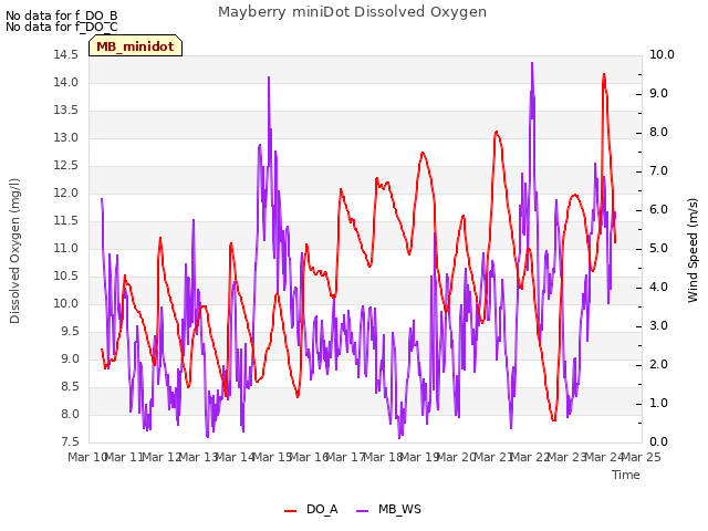 plot of Mayberry miniDot Dissolved Oxygen