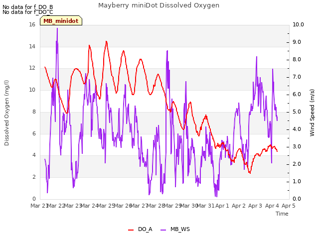 plot of Mayberry miniDot Dissolved Oxygen