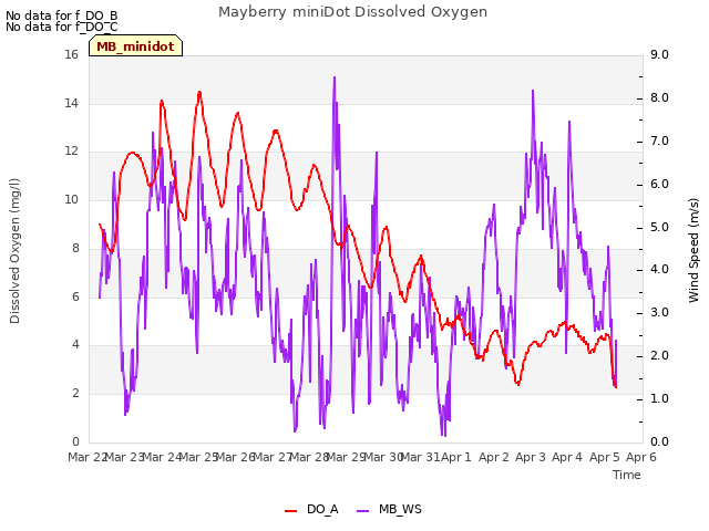 plot of Mayberry miniDot Dissolved Oxygen