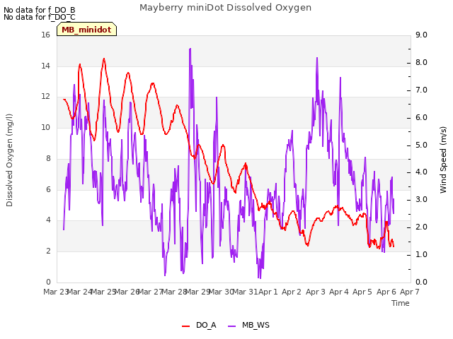 plot of Mayberry miniDot Dissolved Oxygen