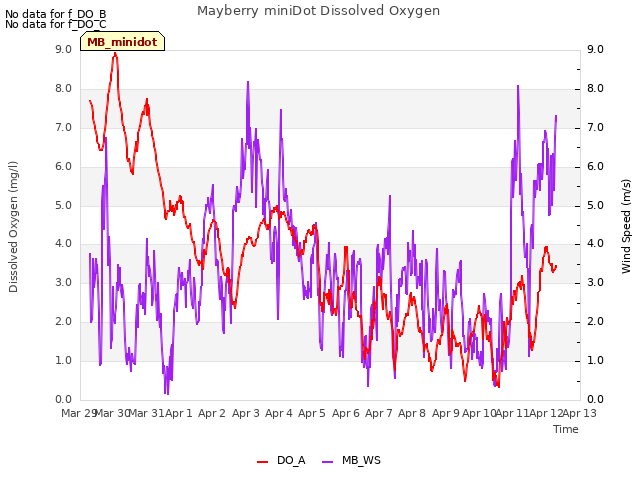 plot of Mayberry miniDot Dissolved Oxygen