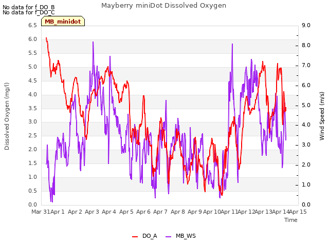 plot of Mayberry miniDot Dissolved Oxygen