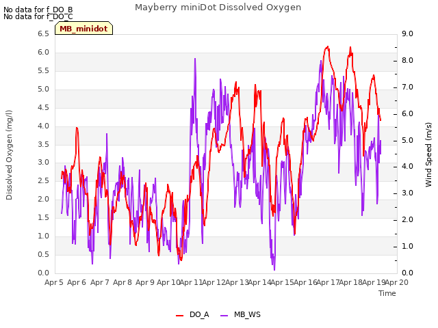 plot of Mayberry miniDot Dissolved Oxygen