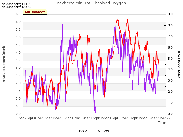 plot of Mayberry miniDot Dissolved Oxygen