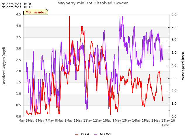 plot of Mayberry miniDot Dissolved Oxygen