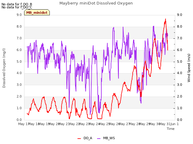 plot of Mayberry miniDot Dissolved Oxygen