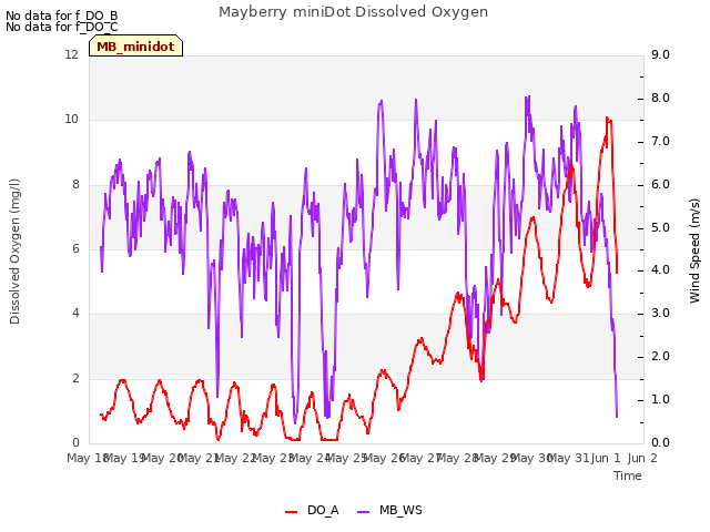 plot of Mayberry miniDot Dissolved Oxygen