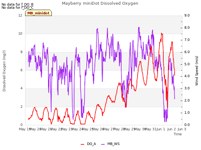 plot of Mayberry miniDot Dissolved Oxygen