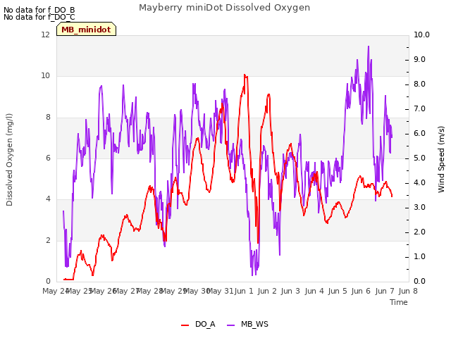 plot of Mayberry miniDot Dissolved Oxygen