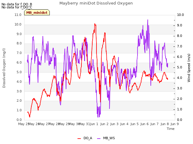 plot of Mayberry miniDot Dissolved Oxygen