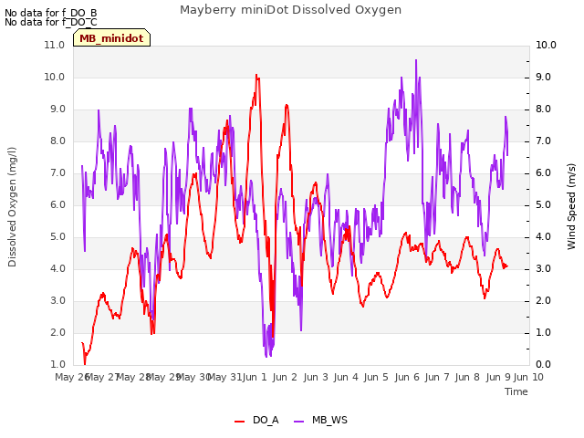 plot of Mayberry miniDot Dissolved Oxygen