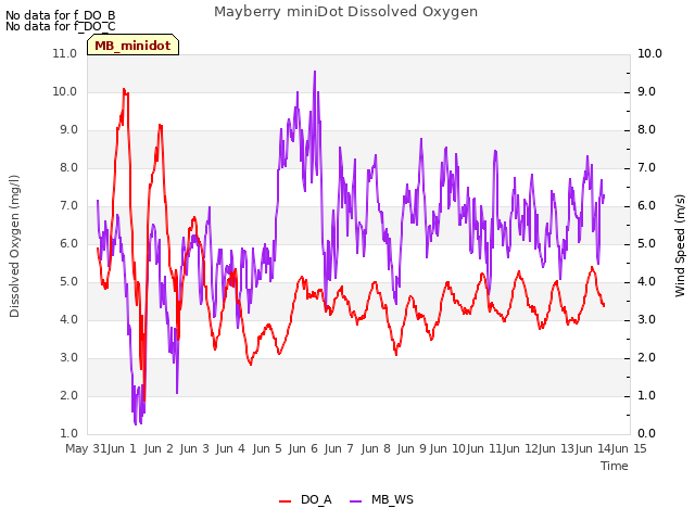 plot of Mayberry miniDot Dissolved Oxygen