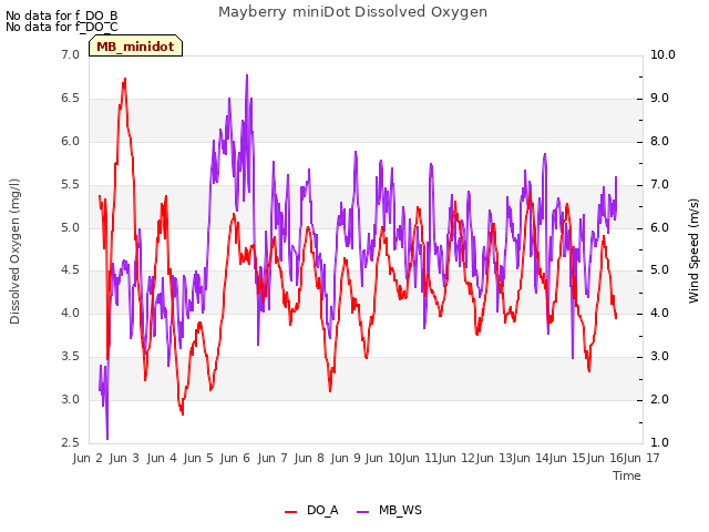 plot of Mayberry miniDot Dissolved Oxygen