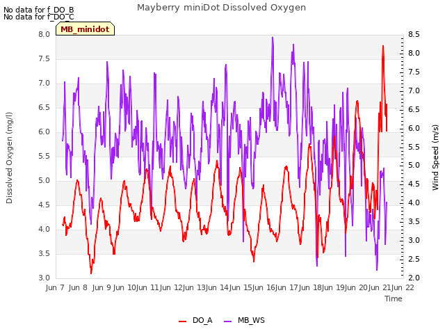 plot of Mayberry miniDot Dissolved Oxygen