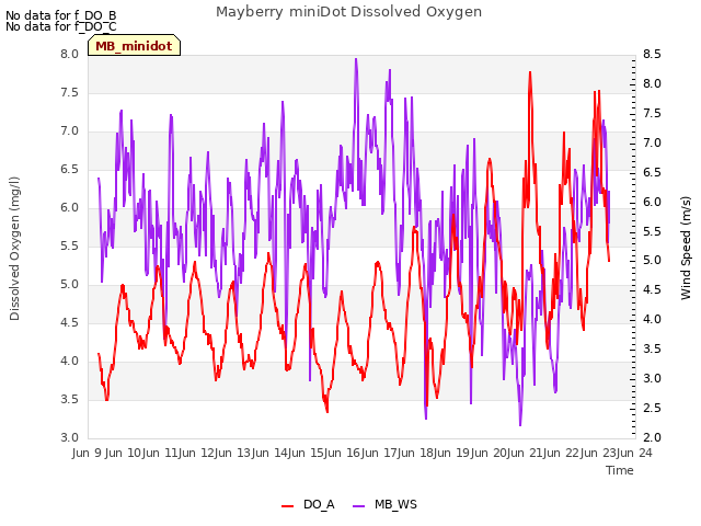 plot of Mayberry miniDot Dissolved Oxygen