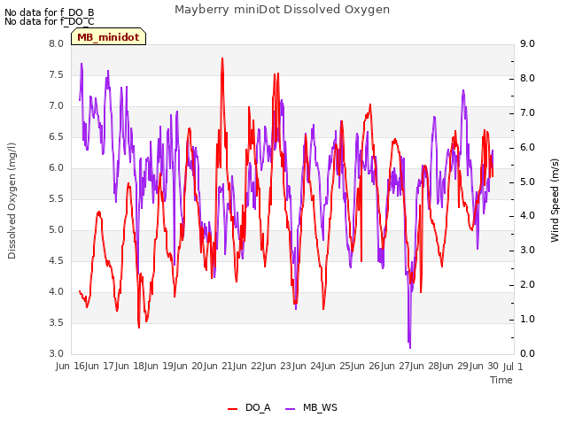 plot of Mayberry miniDot Dissolved Oxygen