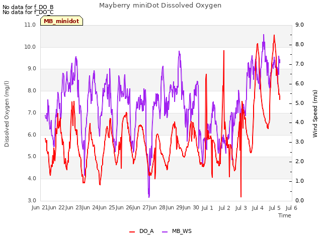 plot of Mayberry miniDot Dissolved Oxygen