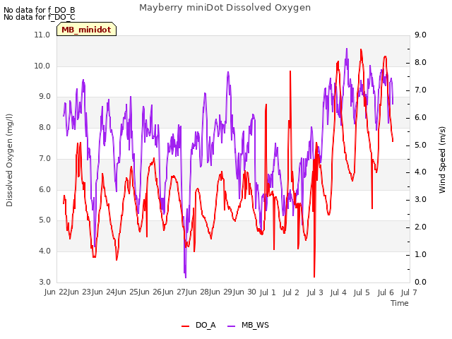 plot of Mayberry miniDot Dissolved Oxygen