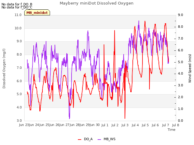 plot of Mayberry miniDot Dissolved Oxygen