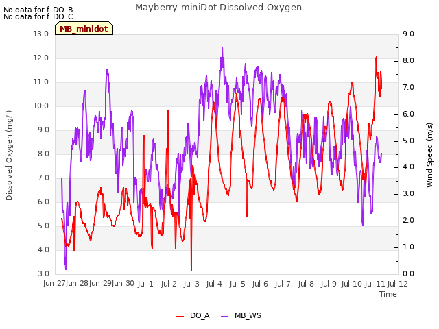 plot of Mayberry miniDot Dissolved Oxygen