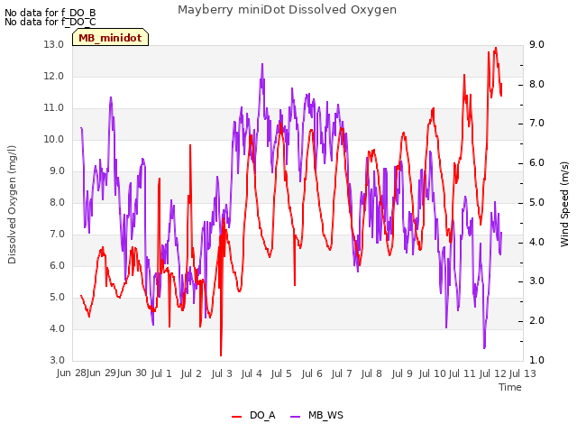 plot of Mayberry miniDot Dissolved Oxygen