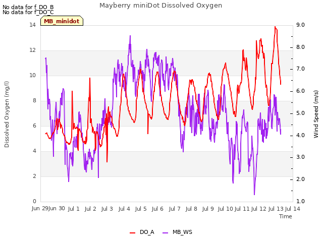 plot of Mayberry miniDot Dissolved Oxygen