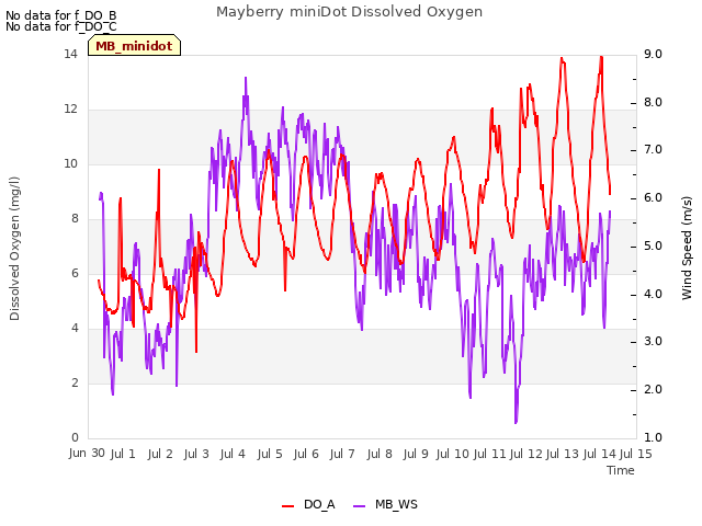 plot of Mayberry miniDot Dissolved Oxygen