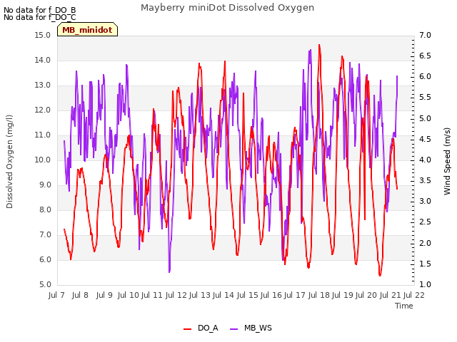 plot of Mayberry miniDot Dissolved Oxygen