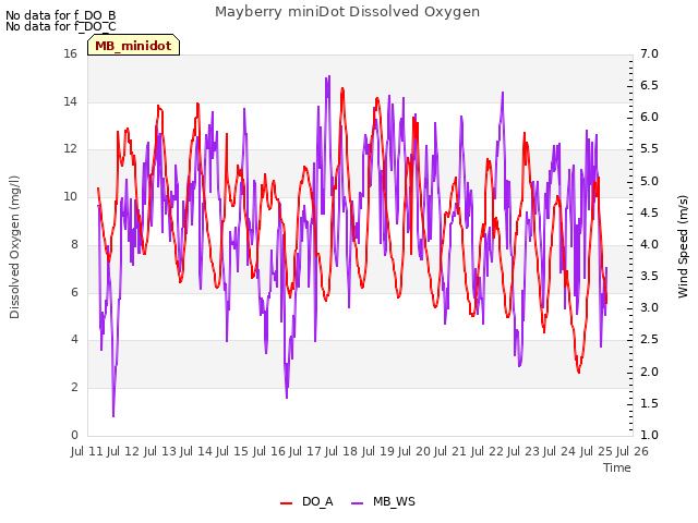 plot of Mayberry miniDot Dissolved Oxygen